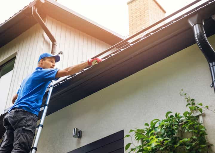 Professional damage repair to Bowie Maryland home due to wildlife infestation.
